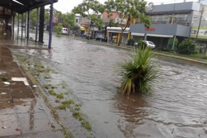 Hurlingham: cuestionan el avance de la construcción en áreas inundables