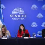 El Senado avanzó con la reforma de Salud Mental y habilita internaciones involuntarias