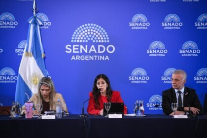 El Senado avanzó con la reforma de Salud Mental y habilita internaciones involuntarias