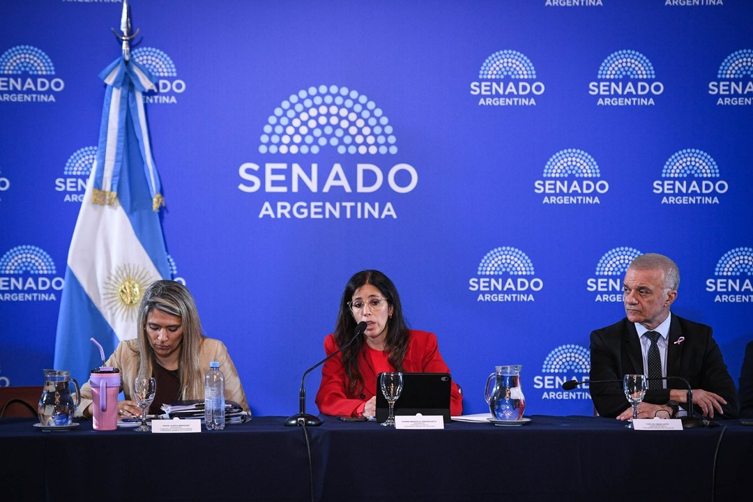 El Senado avanzó con la reforma de Salud Mental y habilita internaciones involuntarias